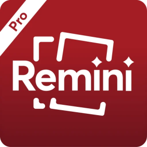 Remini Pro – পুরনো ছবিকে নতুনের মতো ঝকঝকে করুন!